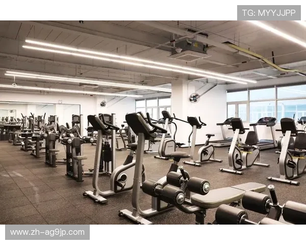 深圳健身器材公司：如何选择优质的深圳健身器材供应商？