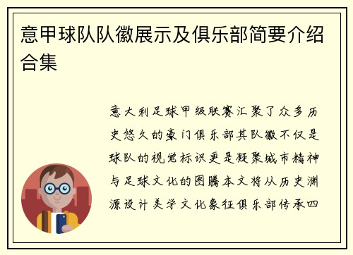 意甲球队队徽展示及俱乐部简要介绍合集